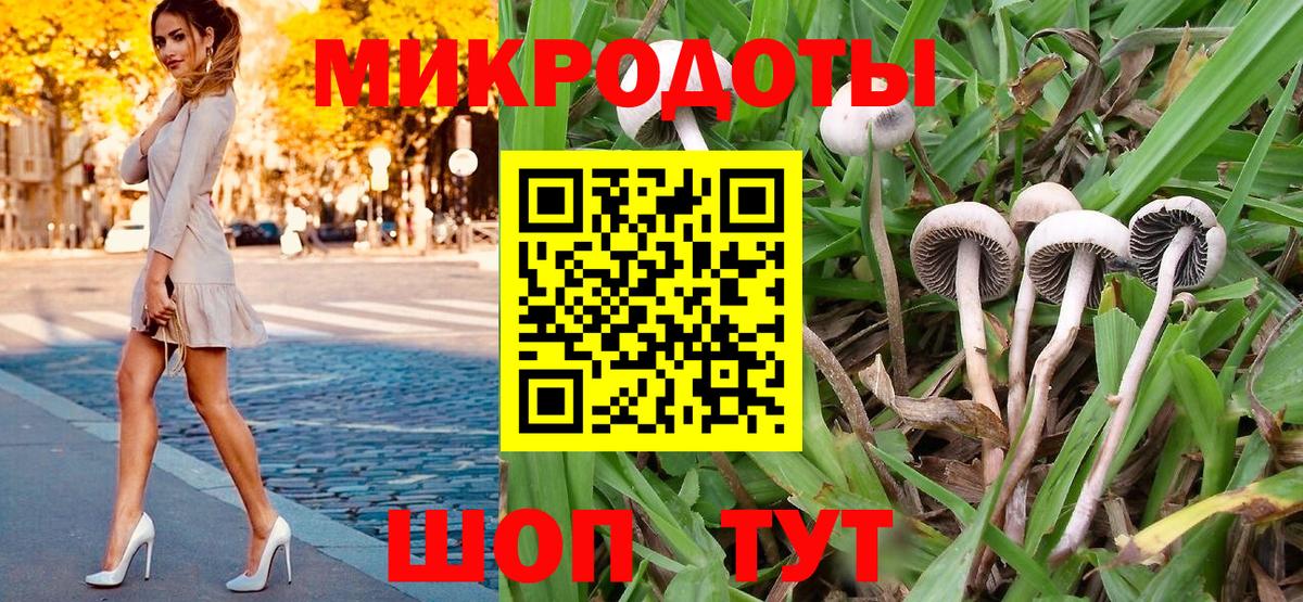 Галлюциногенные грибы Magic Shrooms  Псилоцибиновые грибы Psilocybine cubensis  Тулун  Вход с VPN 